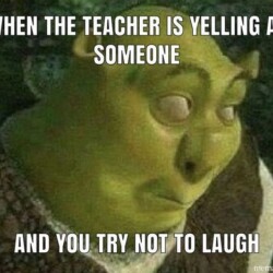 shrek-meme